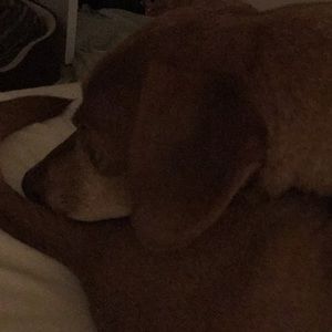 Meet your Posher, Jeff